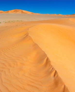 Mavi gökyüzü olan çöl manzarası.