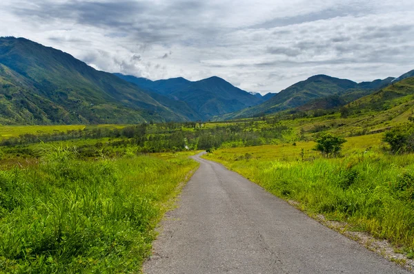 Road in mountains, New Guinea — Stock Photo, Image