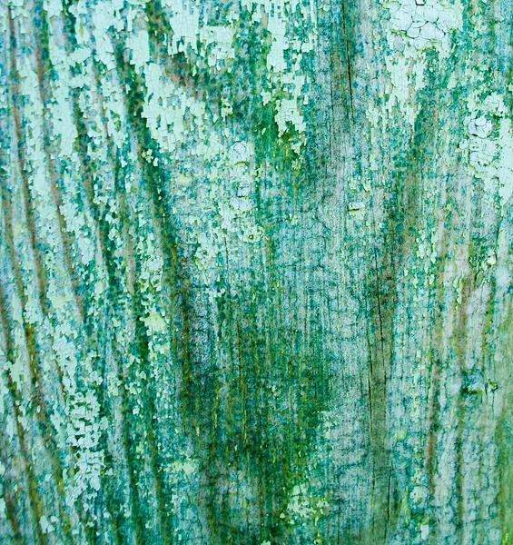 Antiguo fondo de madera con pintura de color agrietado —  Fotos de Stock