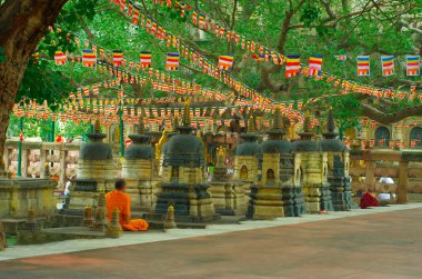 Budist rahip mahabodhi Tapınağı, bodh gaya, Hindistan.
