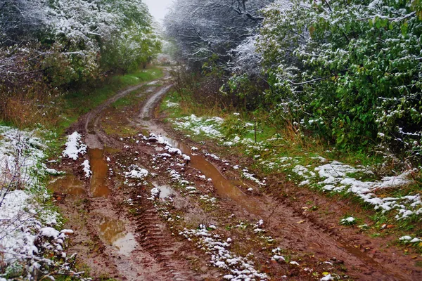 Trilha off-road na floresta de outono com neve — Fotografia de Stock