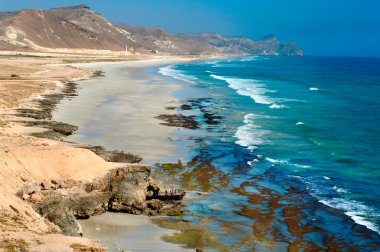 Beach near Al Mughsayl, Salalah, Oman clipart