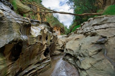 kanyonda hell's gate Milli Parkı, kenya