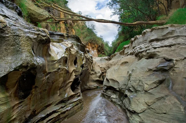 Kaňon v národním parku hell's gate, Keňa — Stock fotografie