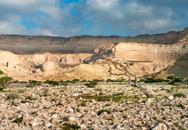 Wadi shuwaymiyah, Umman manzara
