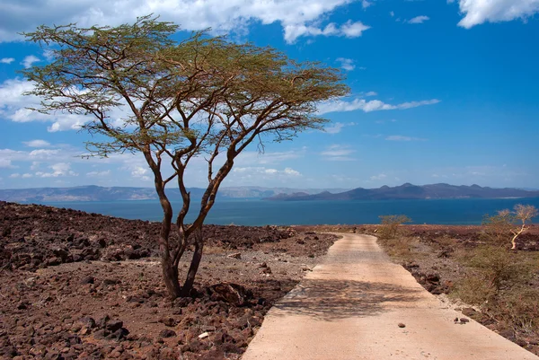 La strada per il lago Turkana, Kenya — Foto Stock