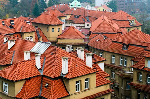 Prag 'daki kırmızı çatılar