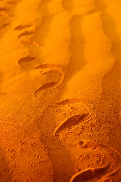 Sand dune with snake trail — Stock Photo, Image