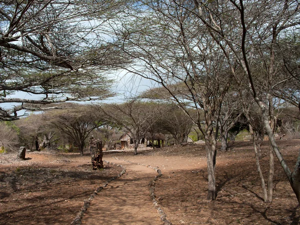 Restos de Takwa en el distrito de Lamu en Kenia — Foto de Stock