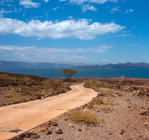 La strada per il lago Turkana, Kenya — Foto Stock