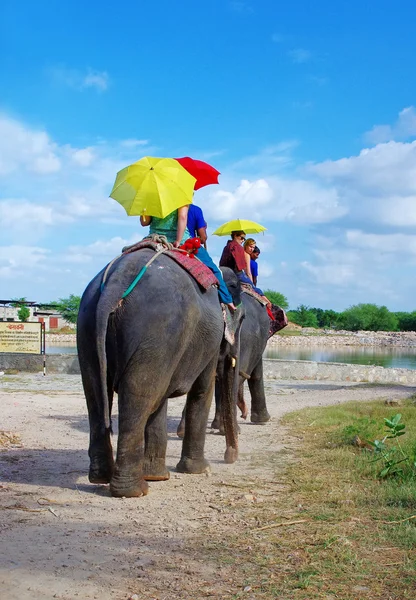 Paseo en elefante —  Fotos de Stock