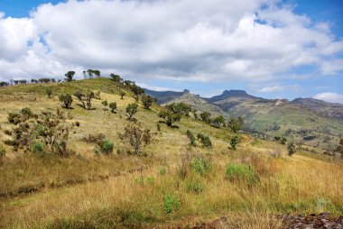 Kenya 'daki Elgon Dağı Ulusal Parkı' nda manzara 