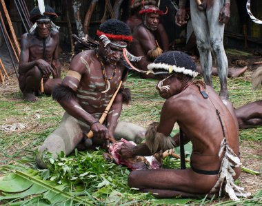 savaşçılar Papua kabile 