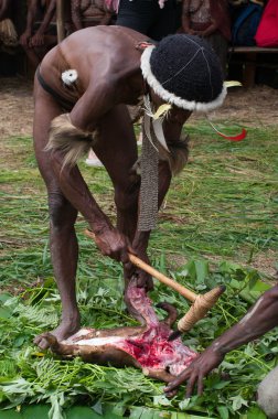 savaşçılar Papua kabile 