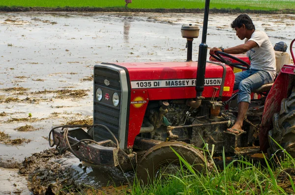 Tractor plowing a rice field in Chitvan, Nepal — Stock Photo, Image