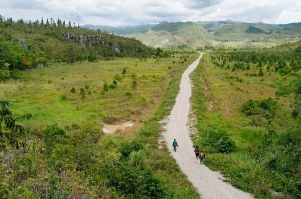 Camino en las montañas — Foto de Stock