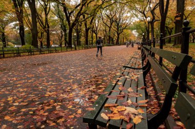 Central Park 'taki sonbahar manzarası. New York 'ta. ABD.