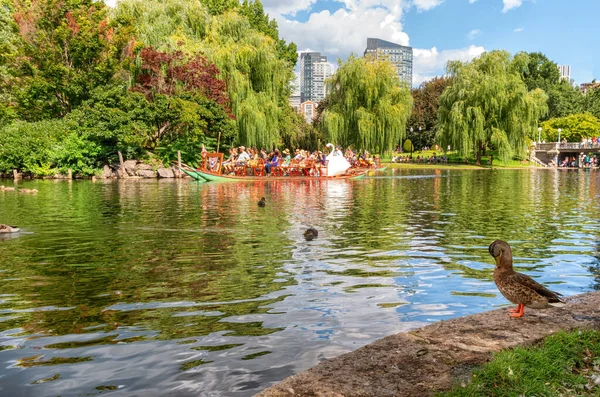 Boston Verenigde Staten Aug 2016 Locals Toeristen Rijden Beroemde Swan — Stockfoto
