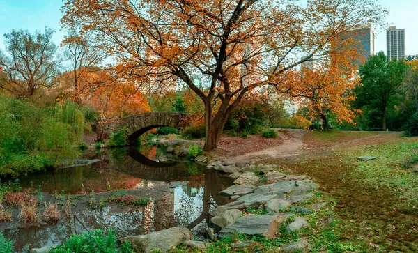 Θέα Στο Τοπίο Του Φθινοπώρου Στο Central Park Γέφυρα Γκάστοου — Φωτογραφία Αρχείου