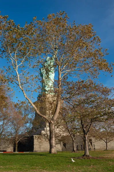 Статуя Свободы Вид Сзади Нью Йорк Соединенные Штаты — стоковое фото
