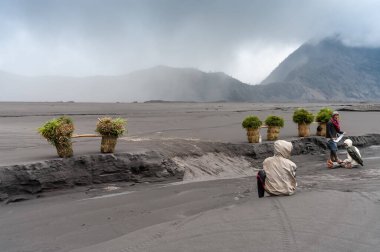 Tengger Caldera, Doğu Java, Endonezya 13 Ocak 2011: Çiftçiler Tengger Caldera, Doğu Java, Endonezya 'da çekilen Bromo volkanı patlaması sonrasında çimen taşıyorlar.