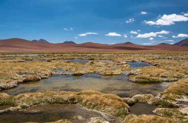 Şili 'nin Atakama çölündeki Quepiaco gölünün manzarası.