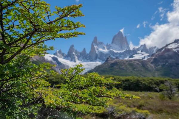 Dağ Manzarasının Panoramik Manzarası Fitz Roy Patagonya Arjantin — Stok fotoğraf