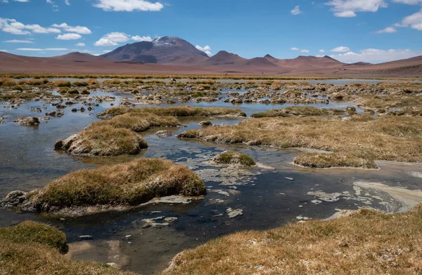 智利阿塔卡马沙漠的Quepiaco泻湖景观 — 图库照片