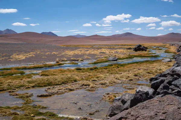 Vista Laguna Quepiaco Desierto Atacama Chile —  Fotos de Stock