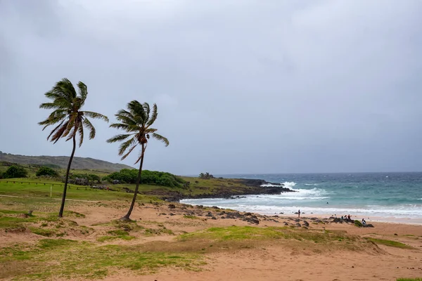 Spiaggia Anakena All Isola Pasqua Parco Nazionale Rapa Nui Cile — Foto Stock