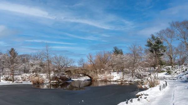 Vista Del Puente Gapstow Durante Invierno Central Park New York — Foto de Stock