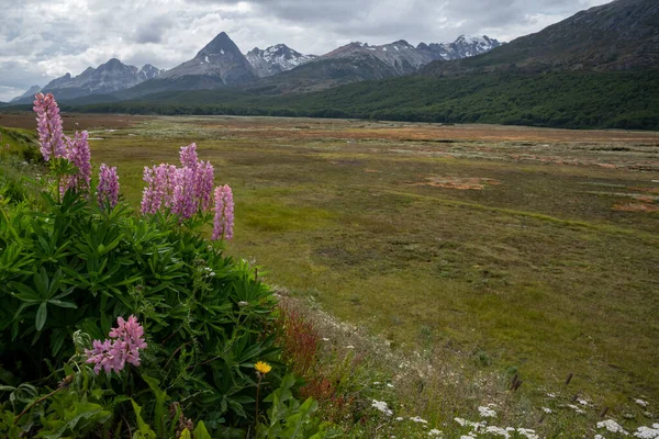 Krajobraz Tierra Del Fuego Argentyna Południowa — Zdjęcie stockowe