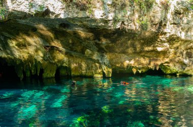 Grand Cenote 'de yüzmek Meksika' nın en ünlü yerlerinden biridir..