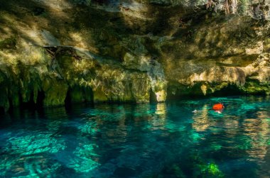 Grand Cenote 'de yüzmek Meksika' nın en ünlü yerlerinden biridir..