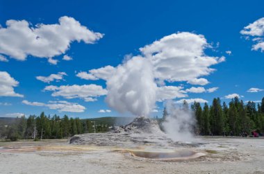 Yellowstone Ulusal Parkı 'ndaki Yukarı Gayzer Havzası' nda Castle Gayzer patlaması