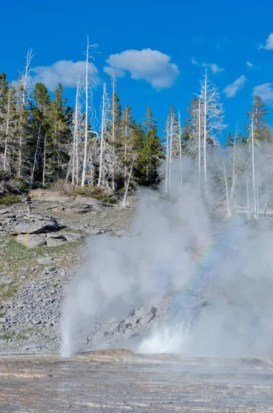 米国イエローストーン国立公園のアッパー ガイザー盆地での大噴火 — ストック写真