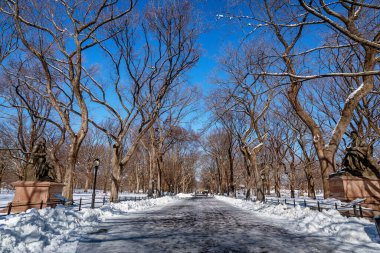 Kış boyunca Central Park, New York. ABD