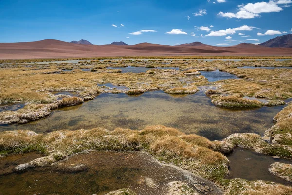 Vista Sulla Laguna Quepiaco Nel Deserto Atacama Cile — Foto Stock