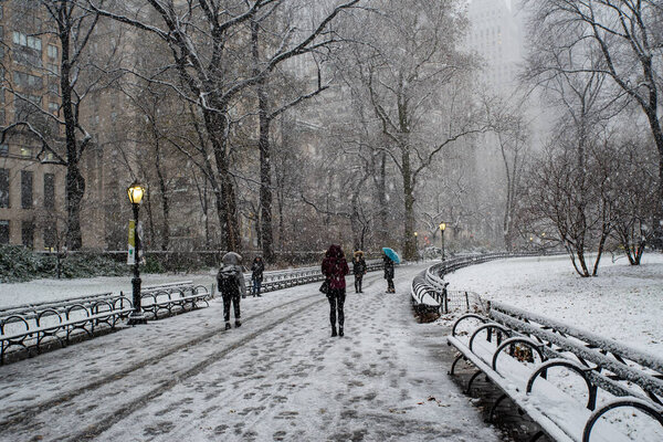 New York, NY USA - December 2, 2019: Snow storm in Central Park. New York City. USA