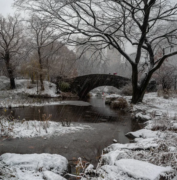 Vista Del Puente Gapstow Durante Invierno Central Park New York — Foto de Stock