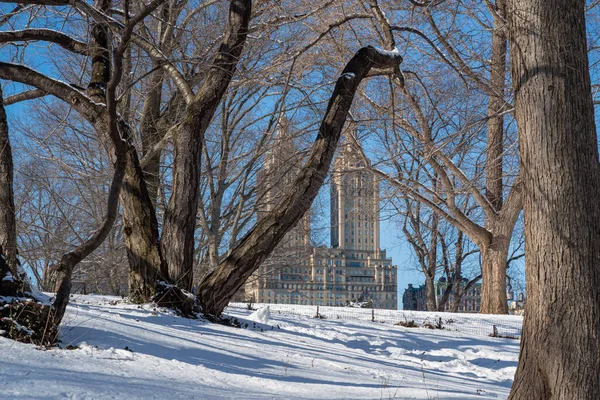 Día Soleado Central Park Durante Invierno Nueva York Estados Unidos — Foto de Stock