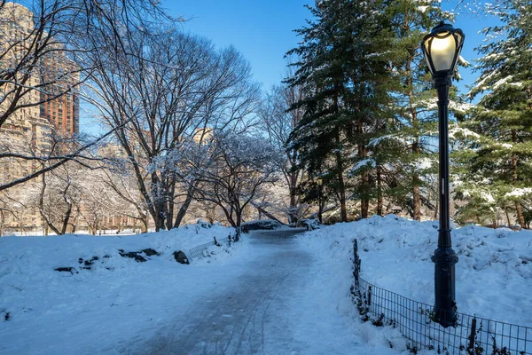 Central Park Durante Invierno Nueva York Estados Unidos — Foto de Stock