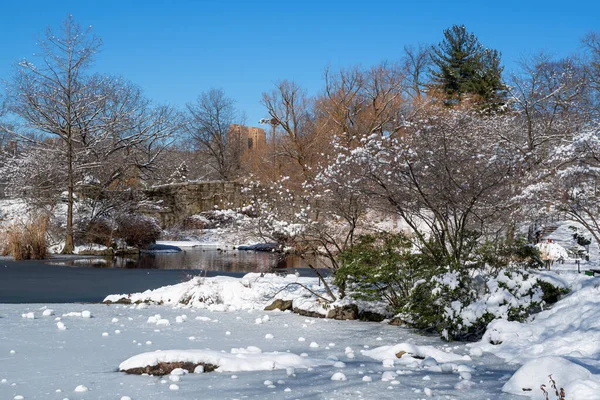 Widok Most Gapstow Zimą Central Park Nowy Jork Stany Zjednoczone — Zdjęcie stockowe