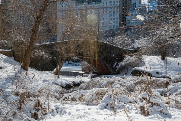 View Gapstow Bridge Winter Central Park New York City Сша — стоковое фото