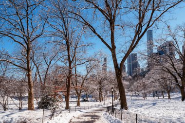 Kış boyunca Central Park, New York. ABD