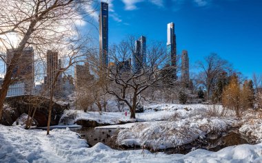Central Park 'ta güneşli bir sabah, kış boyunca Gapstow Köprüsü manzarası, Central Park New York. ABD