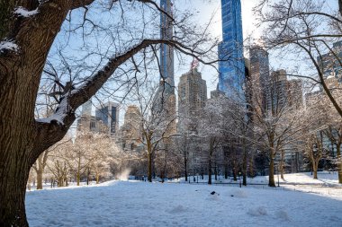 Kış boyunca Central Park, New York. ABD