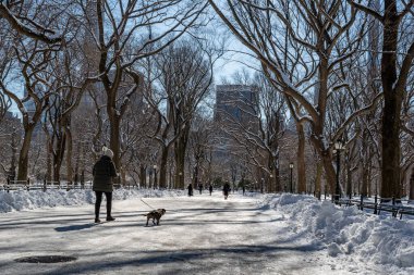 Kış boyunca Central Park, New York. ABD
