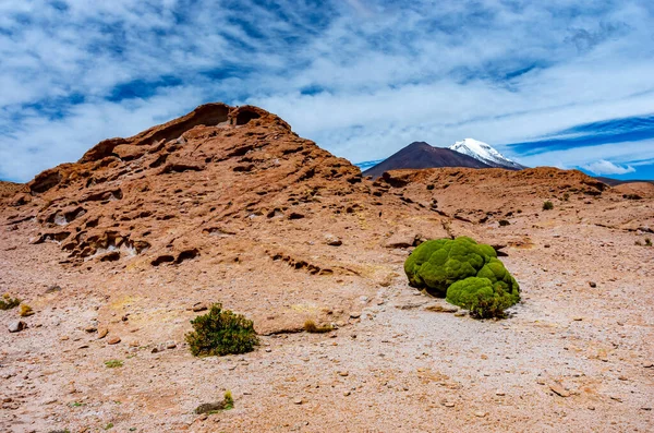 Uitzicht Het Stenen Veld Vulkaan Ollague Bolivia Grens Chili — Stockfoto