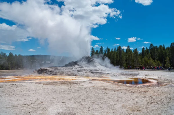 Yellowstone Ulusal Parkı 'ndaki Yukarı Gayzer Havzası' nda Castle Gayzer patlaması